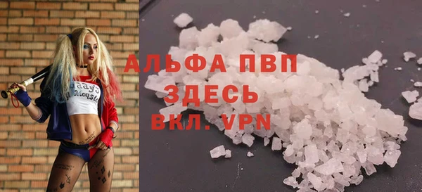 мяу мяу мука Абаза