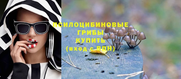 эйфоретик Алзамай