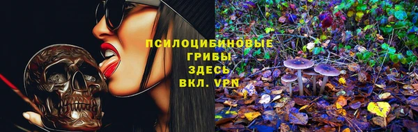 мяу мяу мука Абаза