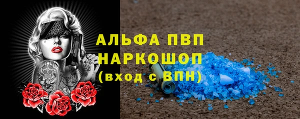 прущие грибы Абинск