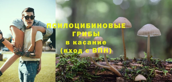 дурь Абдулино