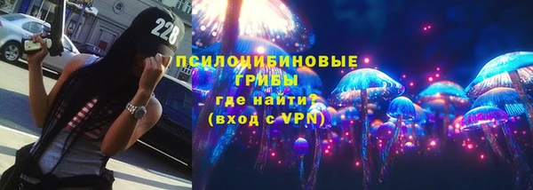 прущие грибы Абинск