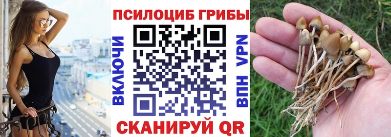 ссылка на мегу ссылки  Магнитогорск  Галлюциногенные грибы прущие грибы  даркнет сайт 