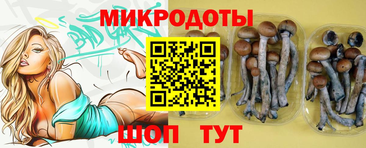 Псилоцибиновые грибы MAGIC MUSHROOMS  Псилоцибиновые грибы мицелий  Магнитогорск  Вход с VPN 