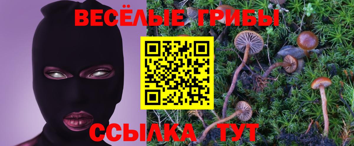 Галлюциногенные грибы Cubensis Магнитогорск
